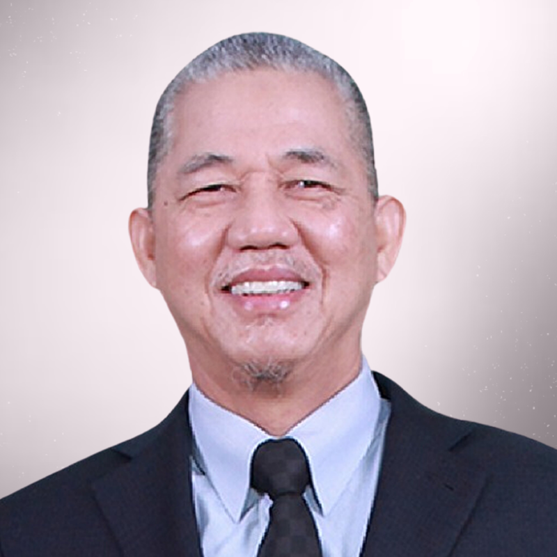 THE RT. HON. DATUK AMAR HAJI FADILLAH BIN HAJI YUSOF